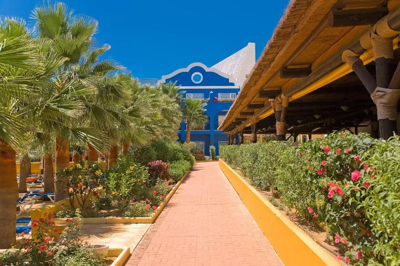 playaballena hotel